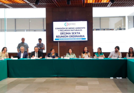 COMISIÓN DE MEDIO AMBIENTE DIALOGA CON REPRESENTANTES DE LA SRE, SEMARNAT Y ORGANIZACIONES SOCIALES