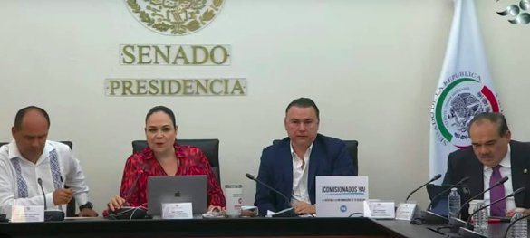 PRIMERA COMISIÓN DE LA PERMANENTE RECHAZA CONVOCAR A PERIODO EXTRAORDINARIO PARA NOMBRAR COMISIONADO DEL INAI