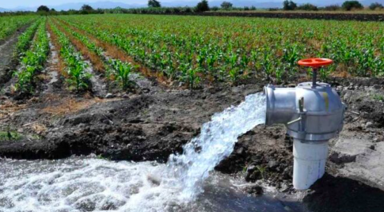 DIPUTADOS DE LA COMISIÓN DE GANADERÍA ABORDAN EL TEMA DE LOS APAGONES