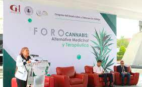 EL SENADO ABRE EL DEBATE DE LA REGULACIÓN DE LA AMAPOLA PARA USO MEDICINAL