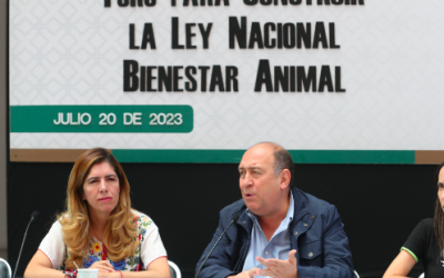 PRIORIZARÁ EL PRI LA CREACIÓN DE LA LEY NACIONAL DE BIENESTAR ANIMAL, EN EL PRÓXIMO PERIODO ORDINARIO DE SESIONES