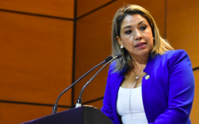 IMPULSA EL PAN REFORMA PARA GARANTIZAR ATENCIÓN MÉDICA Y PSICOLÓGICA A MUJERES VÍCTIMAS DE VIOLENCIA