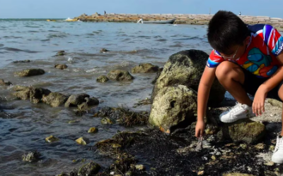 EXIGEN DIPUTADOS A PEMEX EL INFORME E INVESTIGACIÓN SOBRE DERRAME DE CRUDO EN EL GOLFO DE MÉXICO