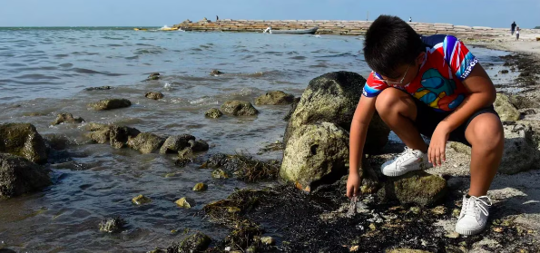 EXIGEN DIPUTADOS A PEMEX EL INFORME E INVESTIGACIÓN SOBRE DERRAME DE CRUDO EN EL GOLFO DE MÉXICO