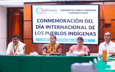 CONMEMORAN EN LA CÁMARA DE DIPUTADOS EL DÍA INTERNACIONAL DE LOS PUEBLOS INDÍGENAS