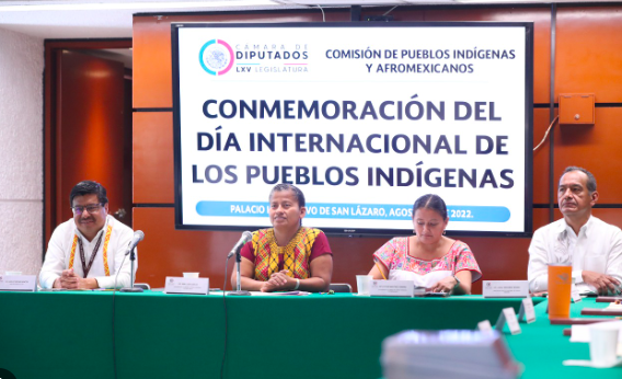CONMEMORAN EN LA CÁMARA DE DIPUTADOS EL DÍA INTERNACIONAL DE LOS PUEBLOS INDÍGENAS
