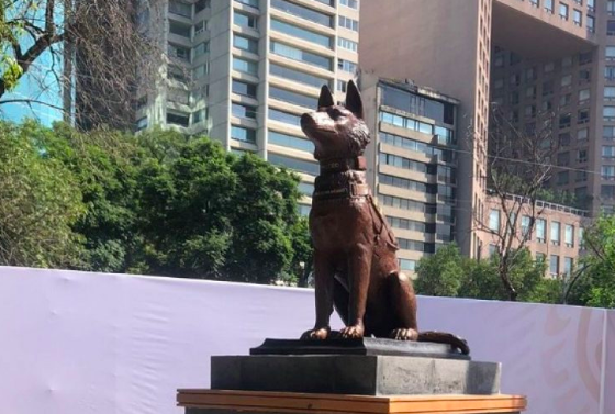 Develan estatua de Proteo en Campo Marte, binomio fallecido en Turquía