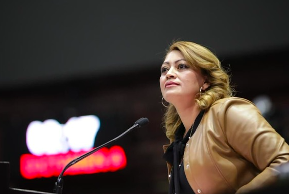 TRES MILLONES DE ADULTOS MAYORES NO CUENTAN CON SERVICIOS DE SALUD; NECESARIO, REVERTIR ESTA SITUACIÓN: PT