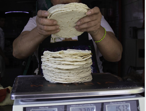 AGRICULTORES ADVIERTEN QUE AUMENTO EN EL COSTO DEL MAÍZ REPERCUTIRÀ EN EL PRECIO DE LA TORTILLA
