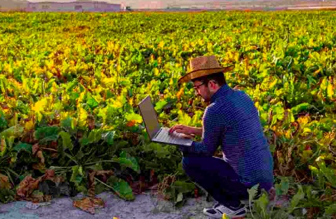 EN 5 AÑOS, EL 100% DE LAS COMUNIDADES RURALES ESTARÁN DIGITALIZADAS: NU