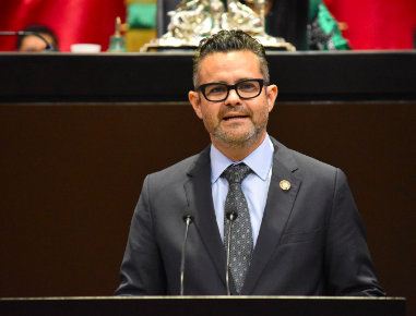 PIDEN DIPUTADOS QUE PARTIDOS Y CANDIDATOS NO COLOQUEN PROPAGANDA EN PLAYAS Y ÁREAS NATURALES PROTEGIDAS