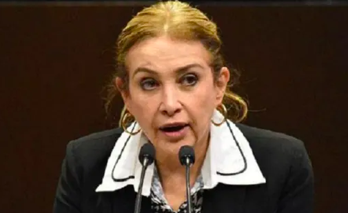 PROMUEVEN INICIATIVA PARA CREAR LA LEY DE PROTECCIÓN Y BIENESTAR ANIMAL