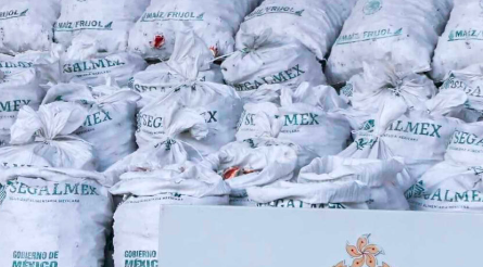 ASEGURAN UNA TONELADA DE METANFETAMINAS EN COSTALES DE SEGALMEX