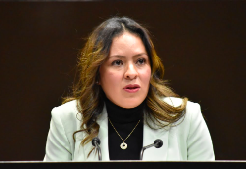 LEGISLADORES AVALAN QUE LA GUARDIA NACIONAL PARTICIPE EN TAREAS DE INSPECCIÓN Y VIGILANCIA AMBIENTAL