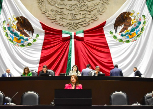 LA CÁMARA DE DIPUTADOS APROBÓ REFORMAS A LA LEY GENERAL DEL SISTEMA NACIONAL DE SEGURIDAD PÚBLICA