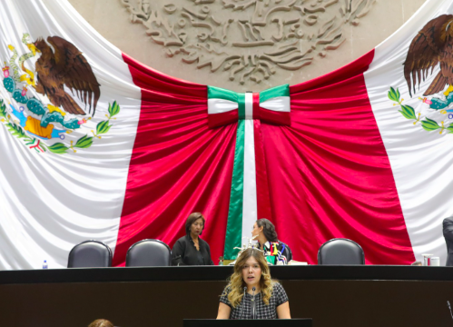 EL PLENO DE LA CÁMARA DE DIPUTADOS APROBÓ REFORMAS EN MATERIA DE ACOSO ESCOLAR