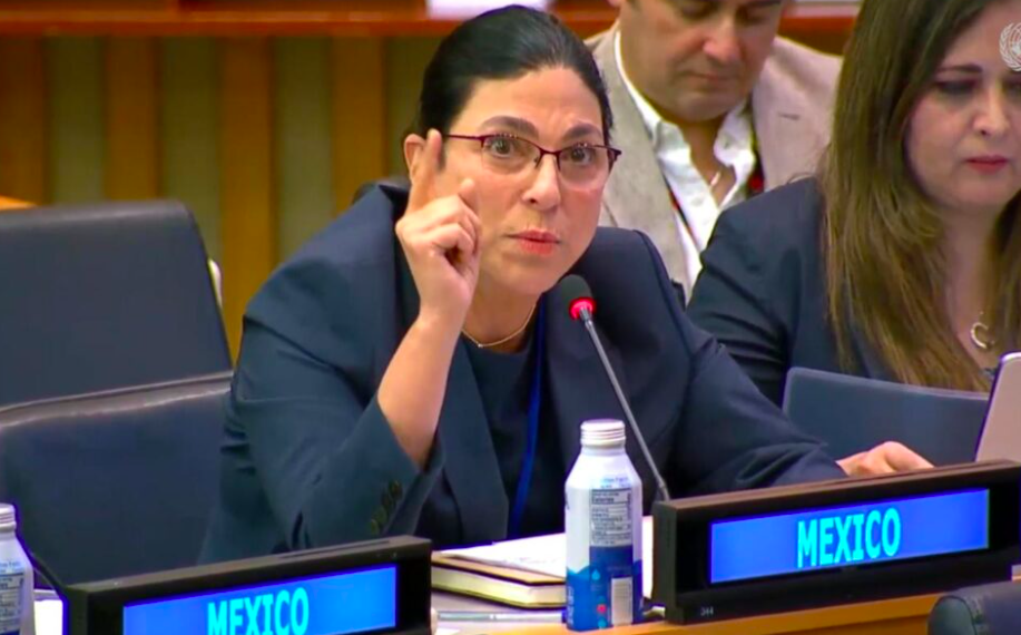 CONGRESO APRUEBA DECRETOS ODS DE AGENDA 2030 DE LA ONU: MARCELA GUERRA