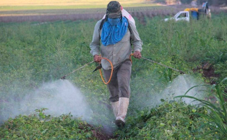 AGROQUÍMICOS CONTAMINAN MÁS DE LA MITAD DEL CAMPO EN SAN LUIS POTOSÌ