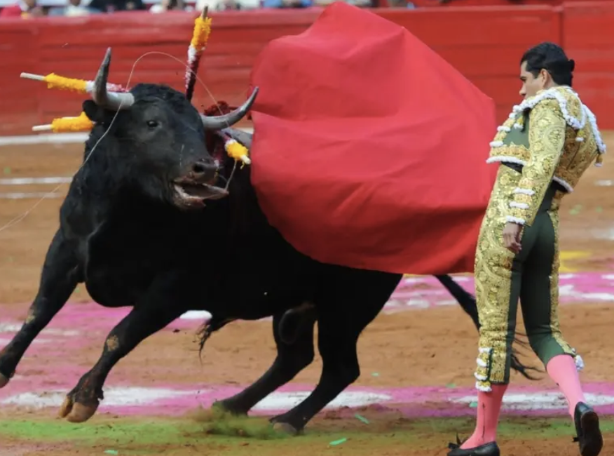 CORRIDAS DE TOROS ‘SIN SANGRE’, EL PRINCIPIO DEL FIN DE LA TAUROMAQUIA ...