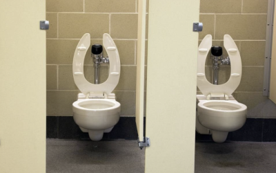 INCLUIRÀN EN LA CONSTITUCIÓN EL DERECHO AL ACCESO A SANITARIOS PÙBLICOS DIGNOS