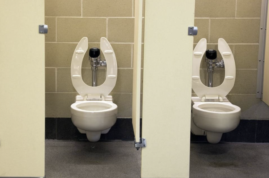 INCLUIRÀN EN LA CONSTITUCIÓN EL DERECHO AL ACCESO A SANITARIOS PÙBLICOS DIGNOS