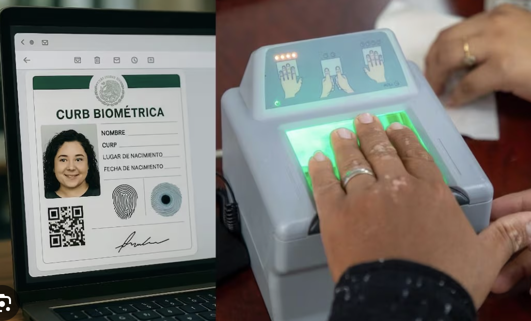 INE VE RIESGOS EN DATOS CONFIDENCIALES DEL PADRÓN ELECTORAL; ANALIZA LA CURP BIOMÉTRICA