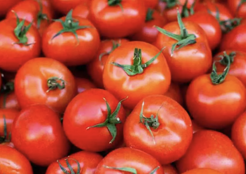 CONFIRMA JULIO BERDEGUÉ AVANCES EN REAPERTURA GANADERA Y DEFENSA DEL TOMATE