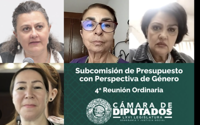 PIDEN DIPUTADOS QUE HACIENDA DISIPE DUDAS SOBRE PRESUPUESTO CON PERSPECTIVA DE GÉNERO