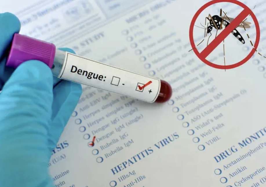 GRACIAS A LA PREVENCIÒN, EDOMEX DISMINUYÒ EL 92% EN CASOS CONFIRMADOS DE DENGUE