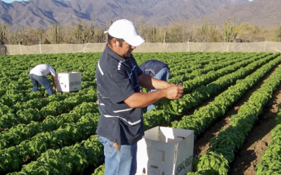 COMISIÓN DE DESARROLLO Y CONSERVACIÓN RURAL BUSCA MAYORES RECURSOS AL SECTOR AGROPECUARIO