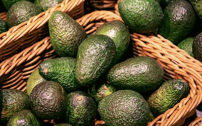 En consultas del T‑MEC, productores estadounidenses piden barreras al aguacate mexicano