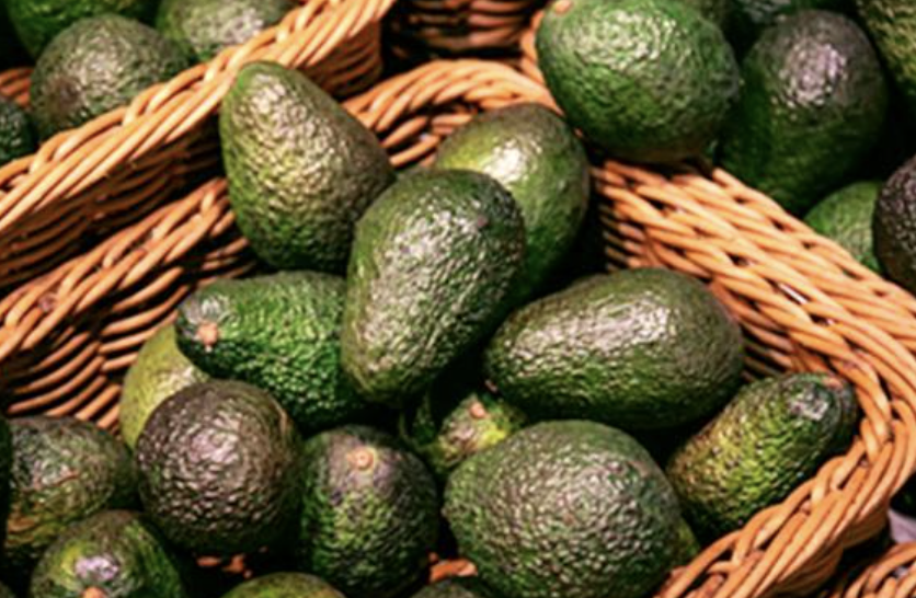 En consultas del T‑MEC, productores estadounidenses piden barreras al aguacate mexicano
