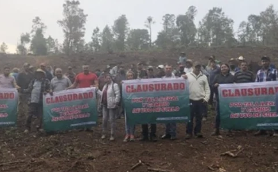 Ahora el narco sentencia a muerte a estos ambientalistas de Michoacán