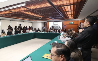 COMISIÓN DE DIPUTADOS REPRUEBA QUE MUJER HAYA SIDO VINCULADA A PROCESO POR VIOLENCIA VICARIA