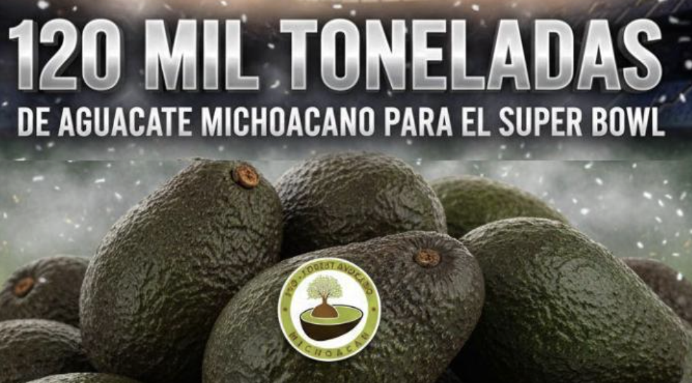 MICHOACÁN ENVÍA 120 MIL TONELADAS DE AGUACATE PARA EL SÚPER TAZÓN DE LA NFL