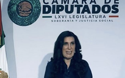 QUIENES DEBEN ESTAR TRAS LAS REJAS SON LOS DELINCUENTES, NO LAS FAMILIAS: KENIA LÓPEZ RABADÁN