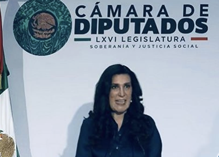 QUIENES DEBEN ESTAR TRAS LAS REJAS SON LOS DELINCUENTES, NO LAS FAMILIAS: KENIA LÓPEZ RABADÁN