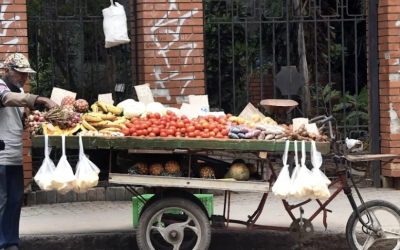 BLOQUEO ENERGÉTICO DE DONALD TRUMP FRENA AYUDA HUMANITARIA DE LA ONU A CUBA