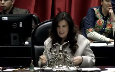 DIPUTADA KENIA LÓPEZ RABADÁN REMITE A COMISIONES MINUTA DEL ´PLAN B´ DE LA REFORMA ELECTORAL