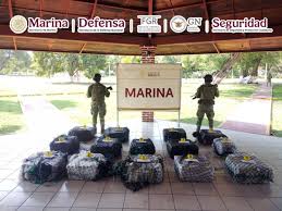 MARINA DIO FUERTE GOLPE AL NARCO EN MICHOACÁN; DECOMISA 650 KILOS DE COCAÍNA Y DETIENE A SEIS