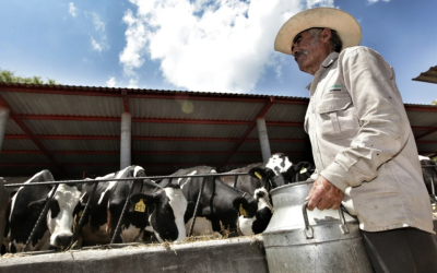DIPUTADOS RESPALDAN A GANADEROS ANTE CRISIS EN SECTOR LECHERO POR BAJOS PRECIOS