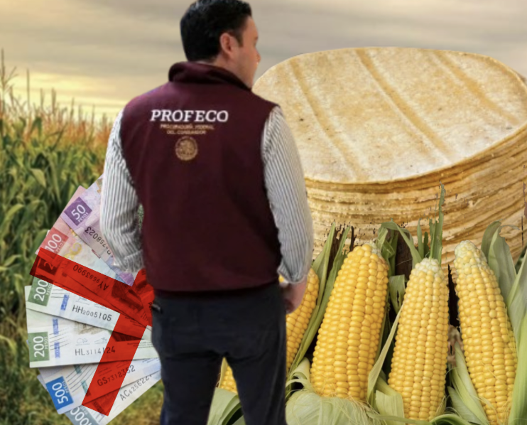 NO HAY MOTIVOS PARA AUMENTAR EL PRECIO DE LA TORTILLA; NO HAN SUBIDO EL MAÍZ NI LA HARINA: PROFECO