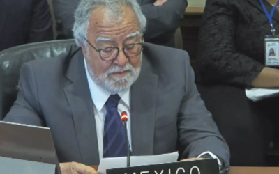 LLAMA MÉXICO EN OEA A FORTALECER COOPERACIÓN CONTRA EL TRÁFICO DE ARMAS DE FUEGO