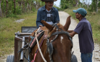 BLOQUEO ENERGÉTICO DE EU ASFIXIA AL CAMPO CUBANO; ALERTAN POR GRAVE CRISIS ALIMENTARIA