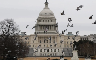 CONGRESISTAS DE EU EXIGEN A DONALD TRUMP DETENER LOS PLANES BÉLICOS CONTRA CUBA