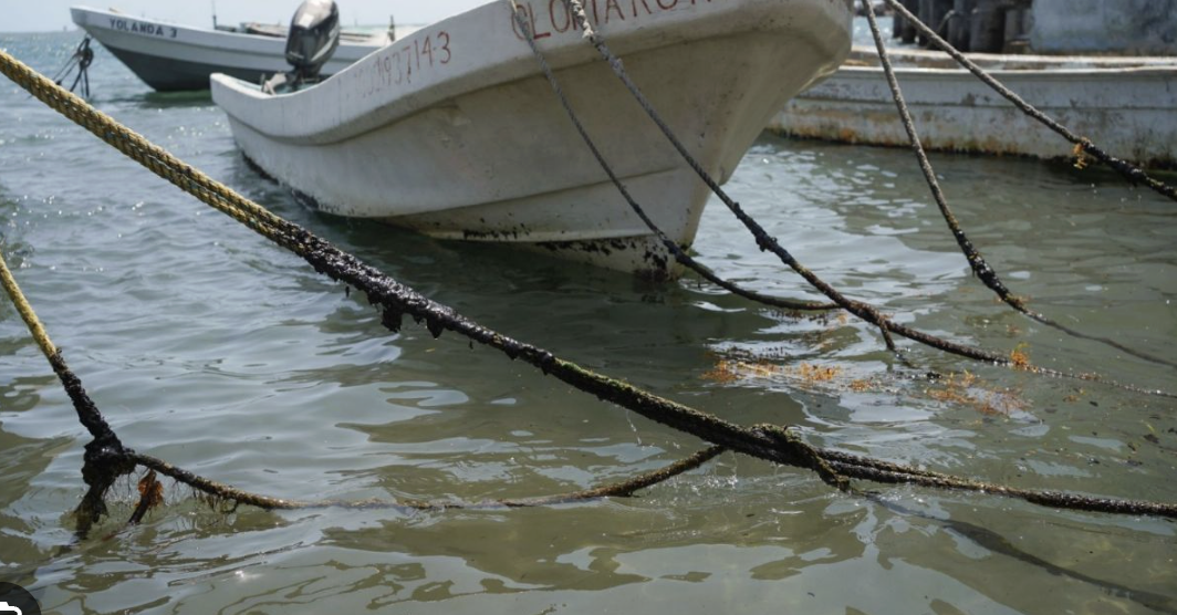 APOYO DE 4 MIL PESOS A PESCADORES AFECTADOS POR DERRAME DE HIDROCARBURO EN EL GOLFO