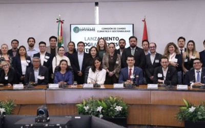 URGE APLICAR CRITERIOS AMBIENTALES Y SOCIALES PARA GARANTIZAR COMPETITIVIDAD: CHEDRAUI PERALTA