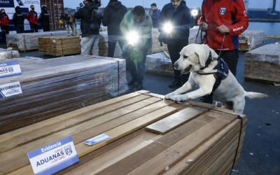 HISTÒRICO DECOMISO DE COCAINA EN CHILE; DESCUBREN 100 TONELADAS EN CARGAMENTO DE MADERA