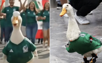 LANZAN CORRIDO INSPIRADO EN EL `PATO MERLÍN`; SE VOLVIÒ MASCOTA NO OFICIAL DEL MUNDIAL 2026