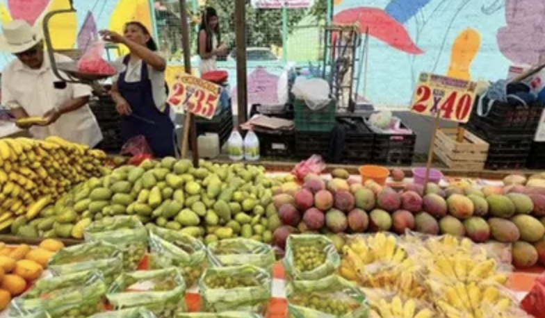 LA INFLACIÓN SE DESACELERA A 3.55% EN LA PRIMERA QUINCENA DEL MES DE JUNIO: INEGI